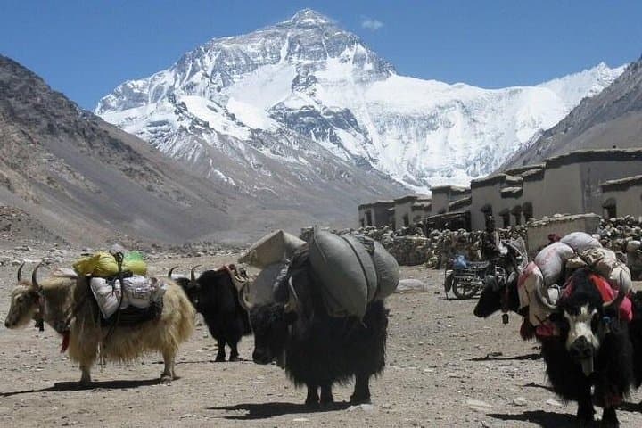 Everest Base Camp Trek: 14-Day Lukla to Kala Patthar High-Altitude Trek photo 4