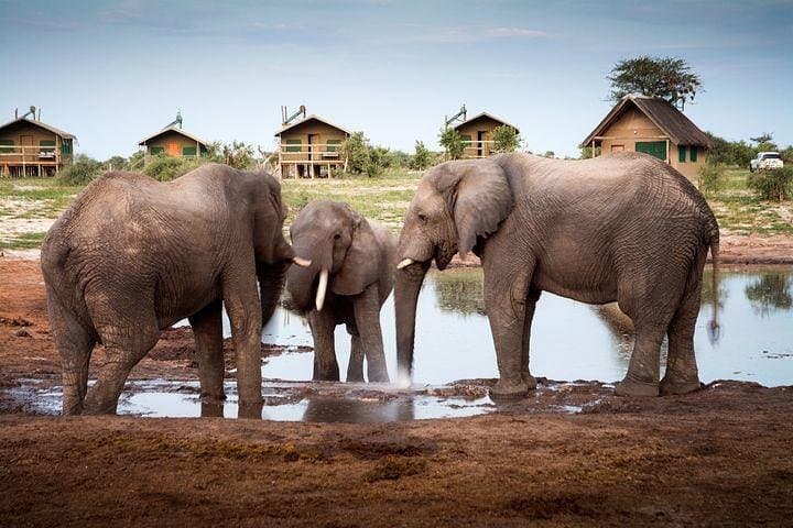 7-Day Botswana Overland Safari: Victoria Falls, Chobe & Okavango Delta Highlights