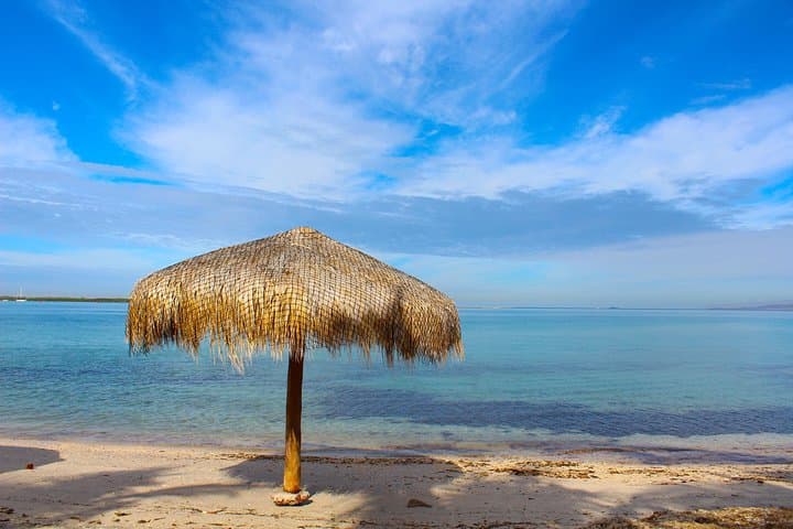 La Paz City Tour & Balandra Beach: City Sights and Gulf Beaches photo 5