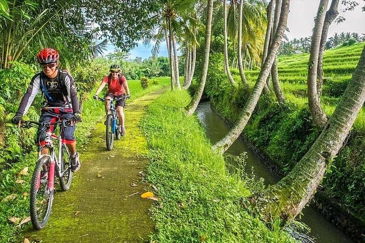 Bali Downhill Cycling and Ayung River Rafting: Kintamani to Ubud Adventure photo 1