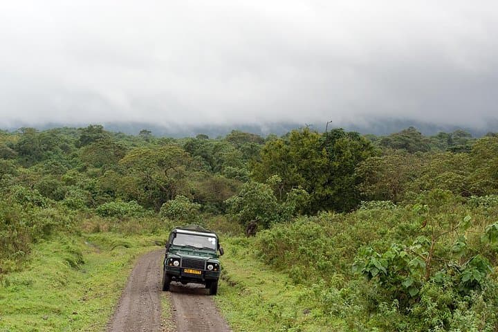Big Five & Beyond: 7-Day Joined Safari from Arusha to Serengeti & Ngorongoro photo 1