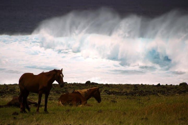 Explore Easter Island's Moai: A Guided Adventure photo 2
