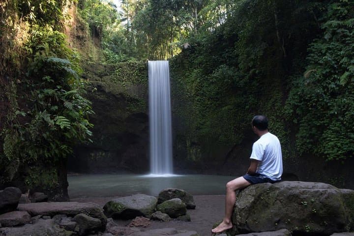 Tibumana Waterfall and Ubud Monkey Forest Private Tour — Waterfalls, Butterflies & Monkeys