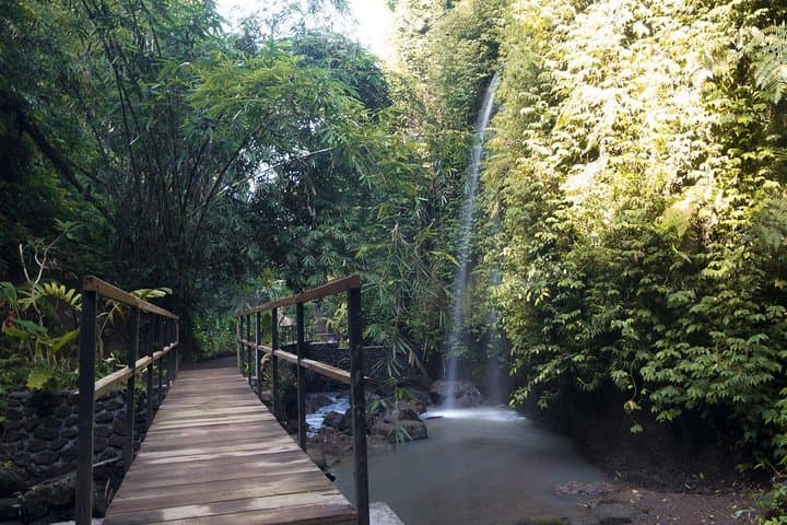 Tibumana Waterfall and Ubud Monkey Forest Private Tour — Waterfalls, Butterflies & Monkeys photo 3