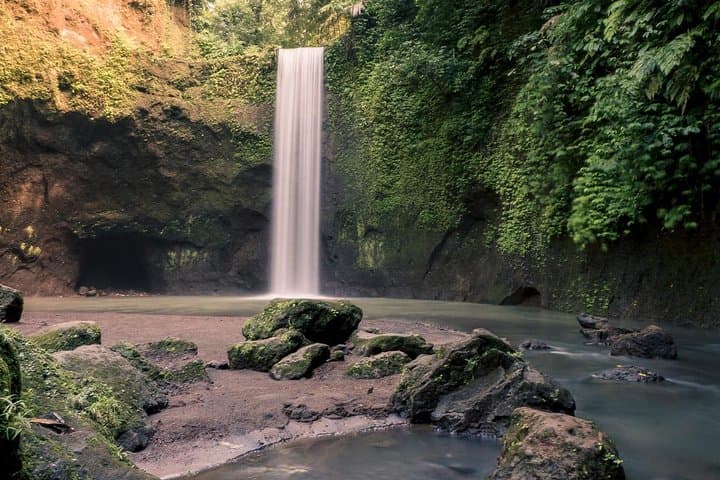 Tibumana Waterfall and Ubud Monkey Forest Private Tour — Waterfalls, Butterflies & Monkeys photo 2