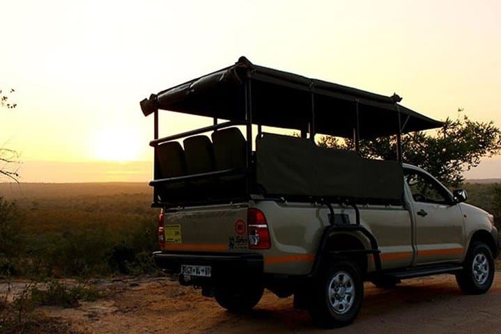 Full-Day Kruger Safari From Hazyview — Big Five Game Drive with Expert Guides photo 5
