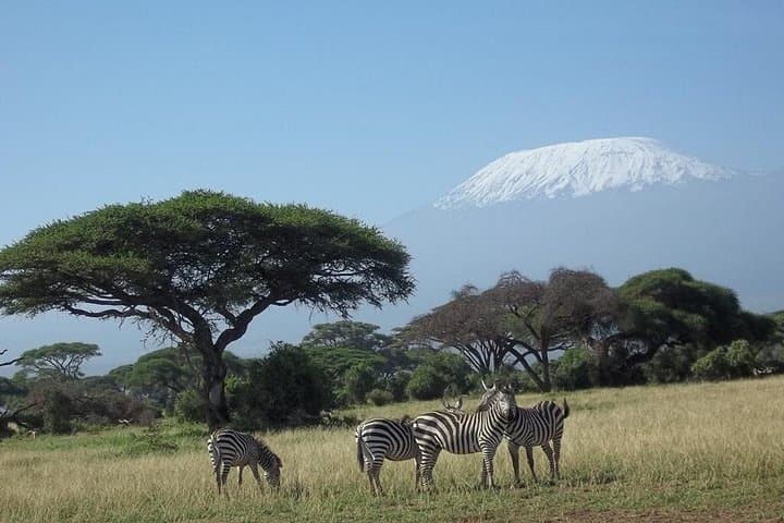 Red Elephant Safari: 3-Day Tsavo & Taita Wildlife Adventure photo 2