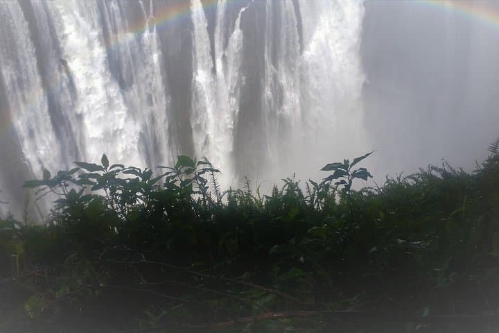 Victoria Falls and Chobe: 4-Day Zambezi Cruise and Chobe Safari photo 4