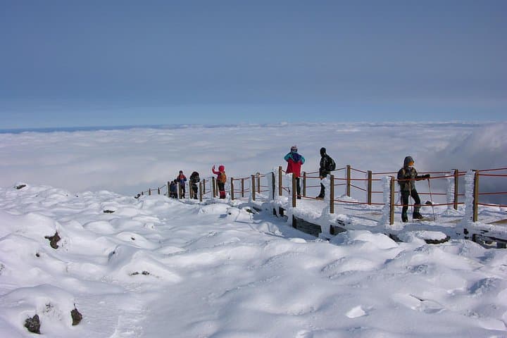 Explore Jeju Island: 7-Day Private Hiking Adventure on Mt. Hallasan and Olle Trails photo 4