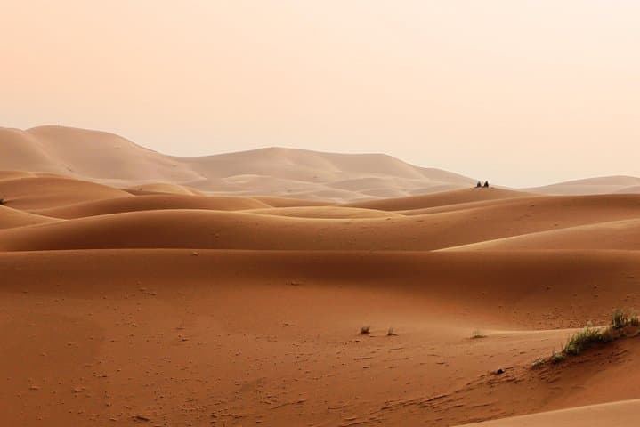 Abu Dhabi Desert Safari: Quad Bike & 4x4 Dune Bashing Adventure photo 3
