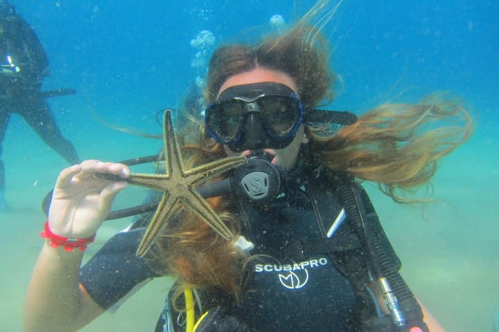 Try a DIVE: Discover Scuba Diving at Lia Reef, Mykonos photo 2