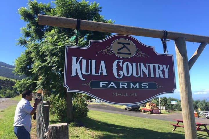 Iao Valley, Ocean Vodka & Aliʻi Kula Lavender Tour — Maui 5‑Hour Cultural Drive photo 3