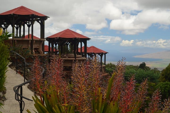 Iao Valley, Ocean Vodka & Aliʻi Kula Lavender Tour — Maui 5‑Hour Cultural Drive photo 6