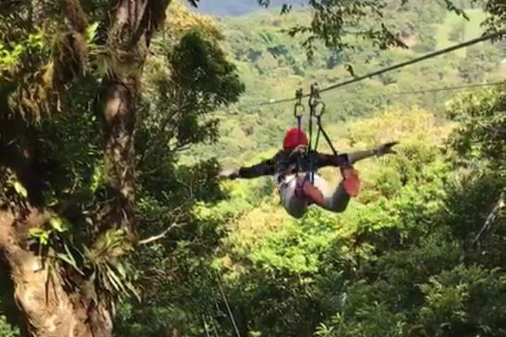 Monteverde Zipline and Hanging Bridges Day Trip: Cloud Forest Canopy Adventure