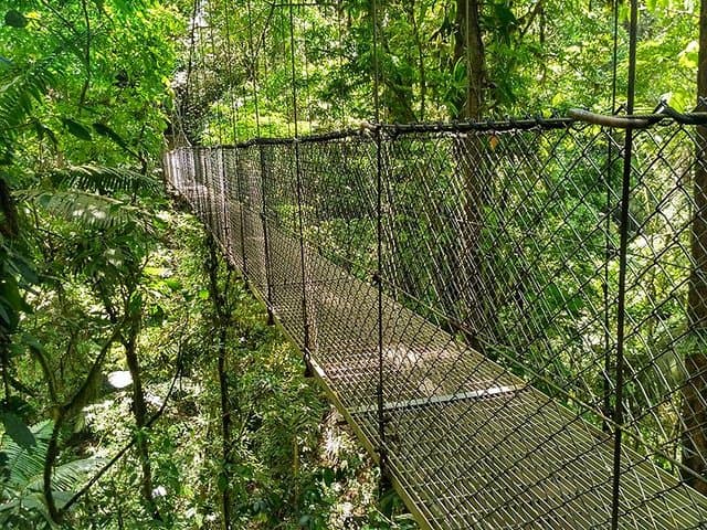 Monteverde Zipline and Hanging Bridges Day Trip: Cloud Forest Canopy Adventure photo 2