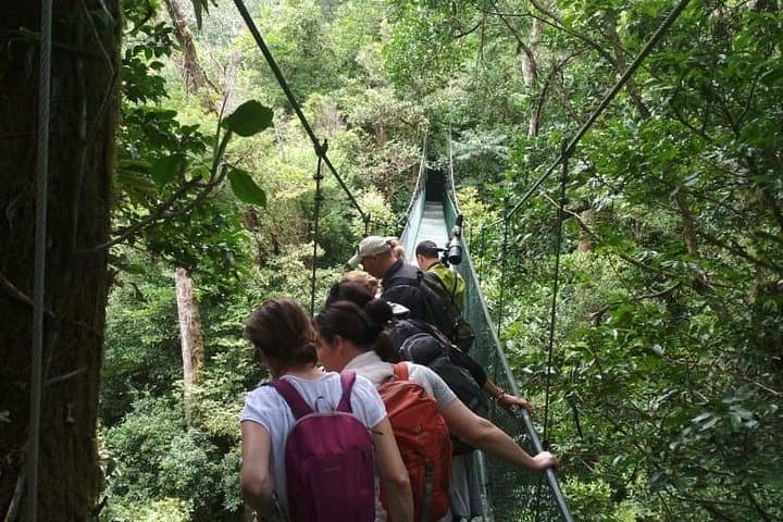 Monteverde Zipline and Hanging Bridges Day Trip: Cloud Forest Canopy Adventure photo 3
