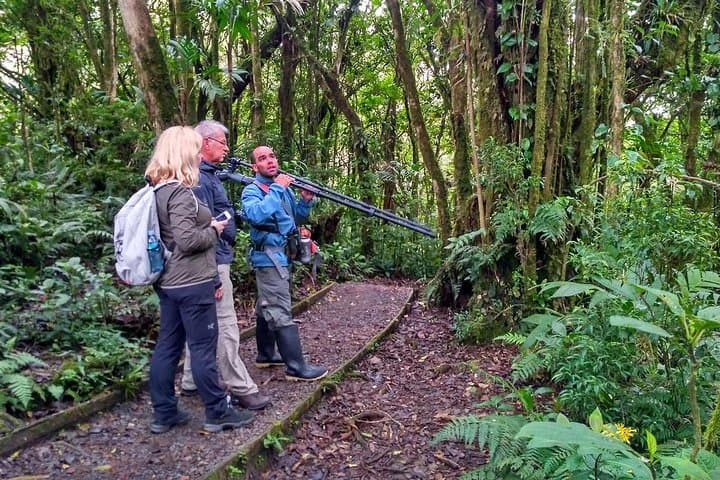 Explore Poás Volcano & Sarapiquí Rainforest: A Full-Day Adventure from San José photo 2