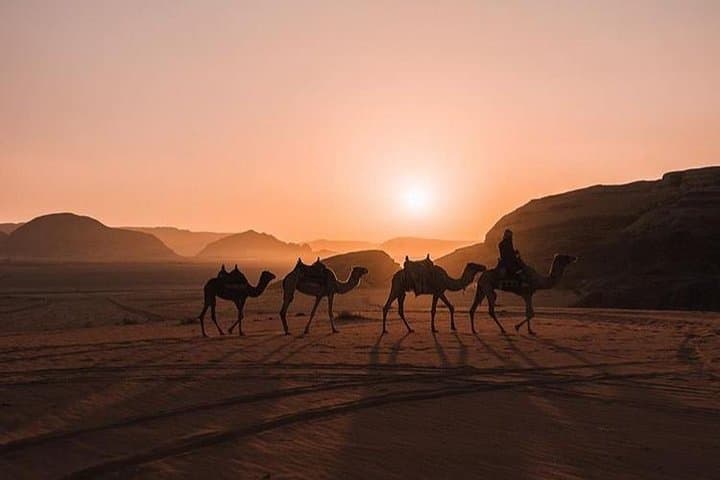 Wadi Rum Jeep Adventure & Bedouin Overnight: Full-Day 4x4 Tour with Meals photo 4