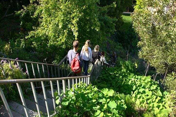Telegraph Hill & Old Waterfront Walking Tour — Ferry Building to Coit Tower photo 2