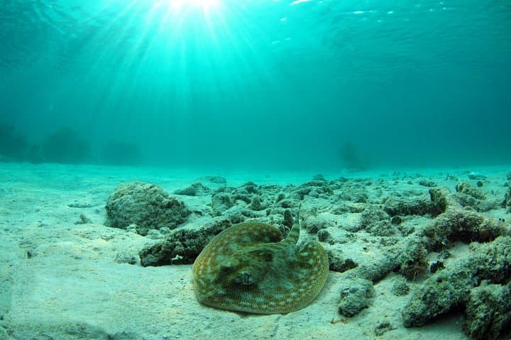 Cancun Ultimate Adventure: ATV Tour, Cenote Snorkel & Zipline in the Riviera Maya photo 3