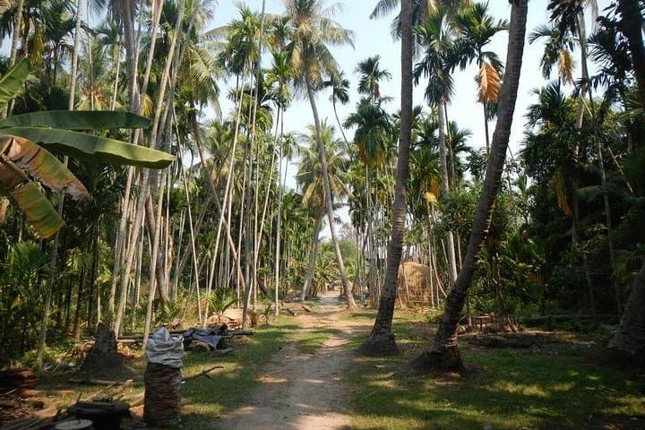 Cycling to Beng Mealea: Off‑Road Temples, Villages & Jungle Ruins photo 2