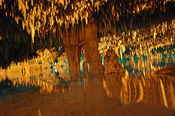 Riviera Maya Ultimate Adventure: ATVs, Cenote Snorkel & Zipline Circuit photo 5