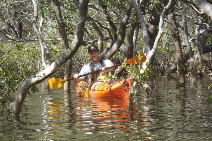 Pittwater Discovery Kayaking: Scotland Island, Salvation Creek & Lovett Bay Waterfall photo 3