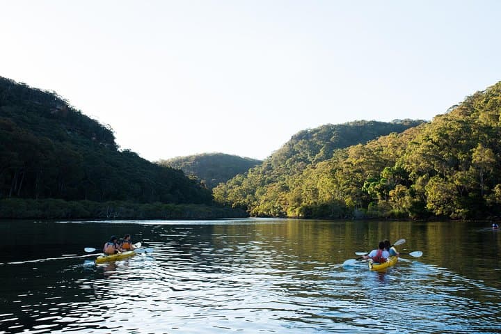 Pittwater Discovery Kayaking: Scotland Island, Salvation Creek & Lovett Bay Waterfall photo 4