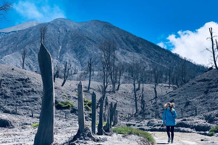 Two Volcanoes in One Day: Irazú and Turrialba Guided Tour from San José photo 3
