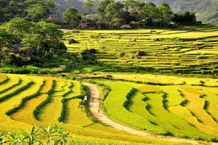 Mai Chau & Pu Luong 2-Day Trek: Rice Terraces, Village Life and Moderate Hikes