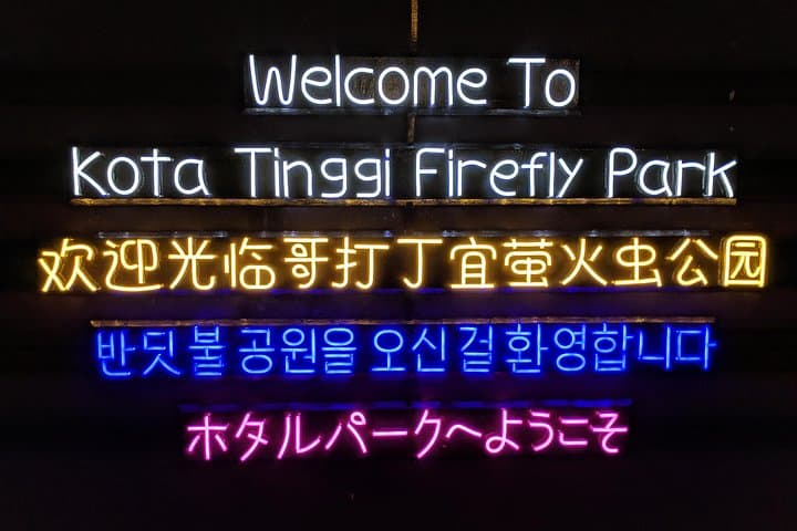 Kota Tinggi Firefly River Cruise: Night Boat Tour from Johor Bahru photo 3