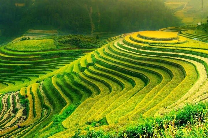 Sa Pa 2-Day Trek and Homestay from Hanoi: Muong Hoa Valley & Local Villages photo 3