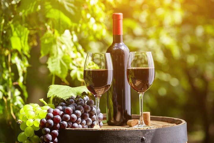 Discover Nepalese Winery: Wine Tasting Tour from Kathmandu photo 6