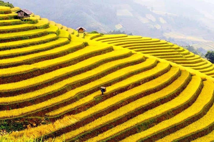 Sapa 2-Day Trekking: Cat Cat, Lao Chai & Ta Van Valley by Bus