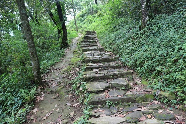 Sarangkot Sunrise Hike from Lakeside — Annapurna Panorama & Phewa Lake Views photo 3