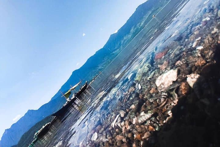 Hai Van Pass, Monkey Mountain & Marble Mountains Private Tour from Da Nang photo 3