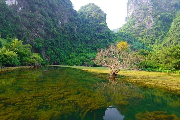 Ninh Binh Day Trip: Bai Dinh & Trang An Boat Tour from Hanoi photo 6