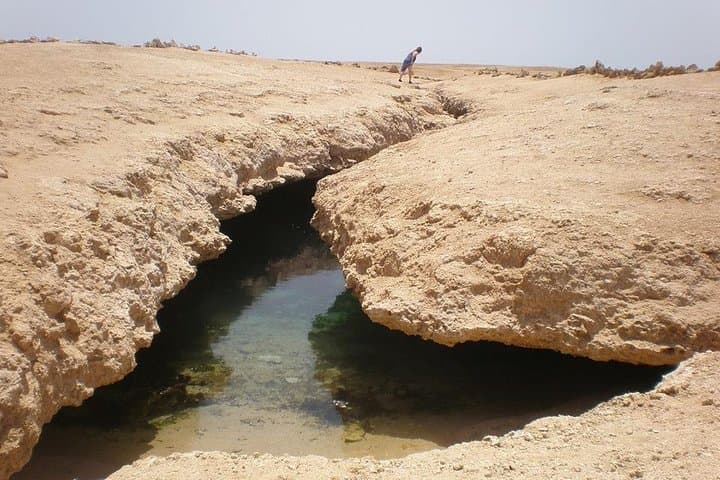 Ras Mohamed Half-Day Snorkeling Trip from Sharm El Sheikh photo 4