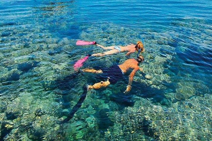 Ras Mohamed Half-Day Snorkeling Trip from Sharm El Sheikh photo 6