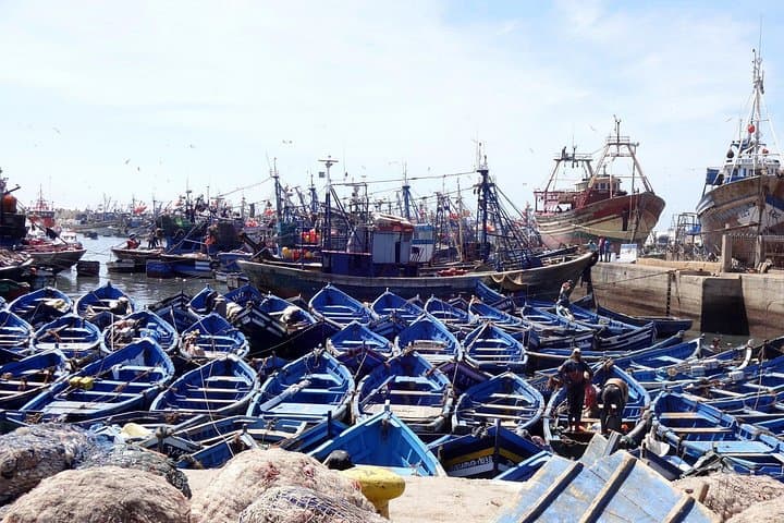 Marrakech to Essaouira Day Trip: Argan Goats, Atlantic Winds & Historic Medina photo 4