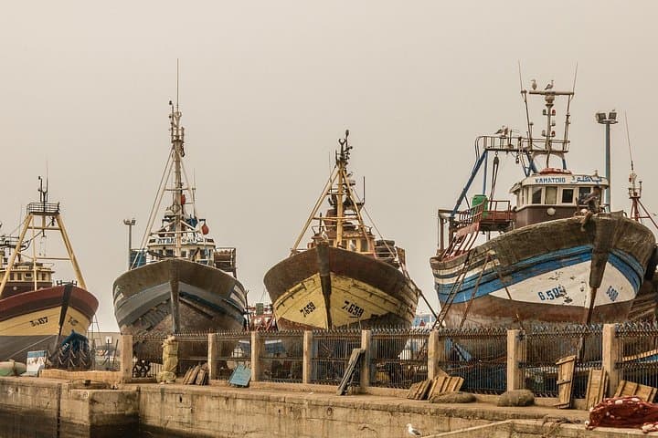 Marrakech to Essaouira Day Trip: Argan Goats, Atlantic Winds & Historic Medina photo 1