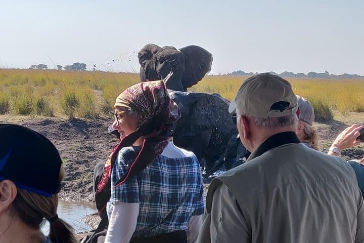 Chobe Day Trip from Livingstone — See the Home of the Elephants photo 1