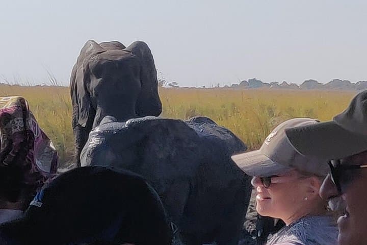 Chobe Day Trip from Livingstone — See the Home of the Elephants photo 2