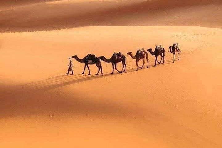 6-Day Nomad Desert Tour Marrakech to Merzouga – Camel Trek & Sahara Camp photo 4