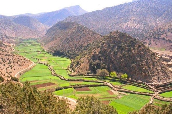 10-Day Classic Morocco Tour: Casablanca, Fez, Sahara & Marrakech photo 3