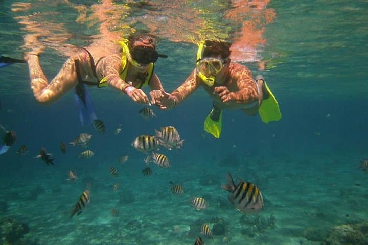 Paddle to Captain Island: Tamarindo Kayak and Snorkel Adventure photo 2