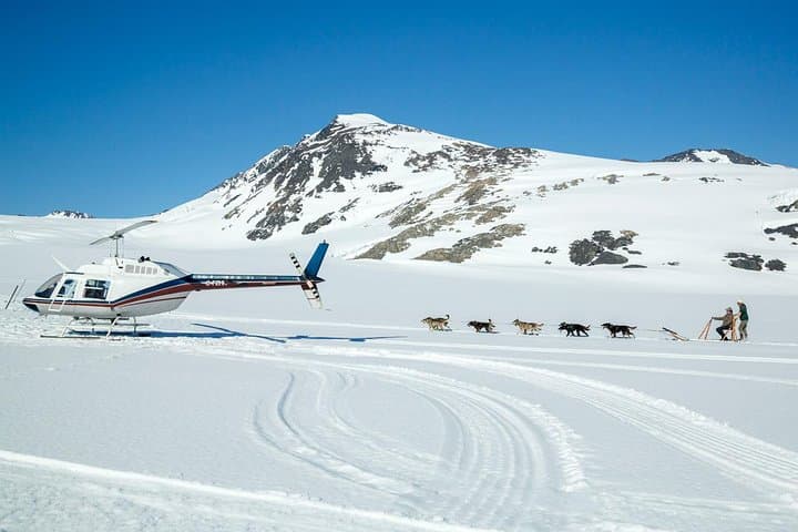 Helicopter Glacier Dogsled Adventure from Anchorage photo 6