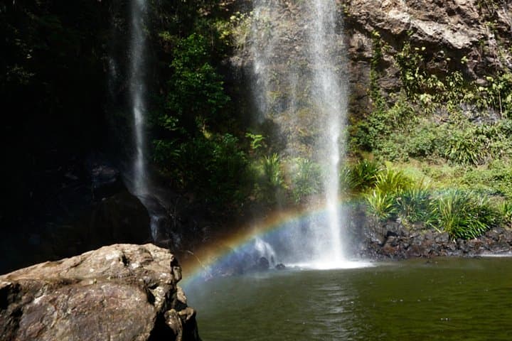 Day-to-Night Gondwana Rainforest Waterfalls & Glow Worm Tour from Gold Coast photo 5
