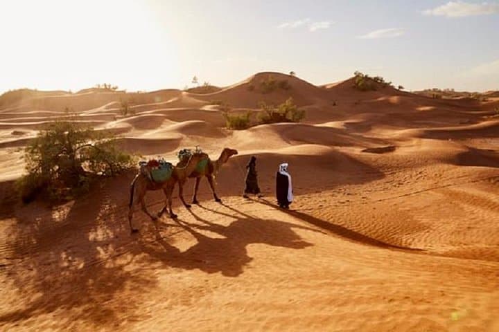 3-Day Nomad Desert Tour: Marrakech to Zagora and Back photo 2
