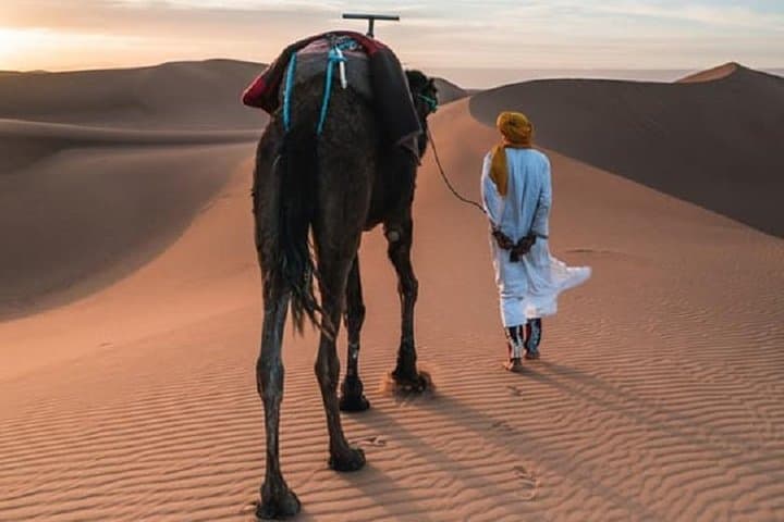 3-Day Nomad Desert Tour: Marrakech to Zagora and Back photo 3